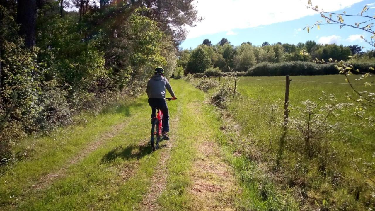 Gite Des Gravets Sigalens Kültér fotó